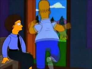 The Simpsons - Homer Simpson - Look, a bird