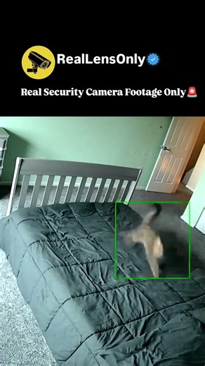 Real Security Camera Footage Only