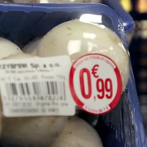 8.5K views · 67 reactions | Plongée au cœur de la culture des champignons de Paris en Pologne !  | Food.Story | Facebook