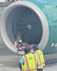 4.4M views · 6.6K reactions | HORROR ON THE TARMAC: A Frontier plane’s engine shredded...Video  | Successful Flow | Facebook