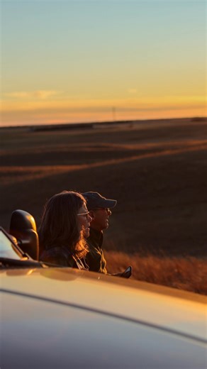 Autumn on the prairie. Golden grass, crisp air, and bison moving through the changing light. 🍂 Beneath all that beauty, the prairie soil is hard at work, roots stretch deep, storing carbon and nutrients that keep this ecosystem thriving year after year. 🌱 | Golden Prairie Bison