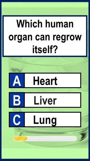 WET OR WEAK -All Fail This! #shortsfeed #short #shortvideo