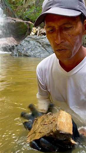 2.5M views · 10K reactions | Treasure Hunting at the location of the kingdom's remains. #Treasurehunting #kingdom's #hunting #treasure #gemstone #huntinggear #freedom #photography | The GemsHunter | Facebook