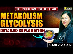 Glycolysis Explained in Detail 🔥 | Metabolism | CUET PG, CSIR NET, IIT JAM, GATE | Biology Academy