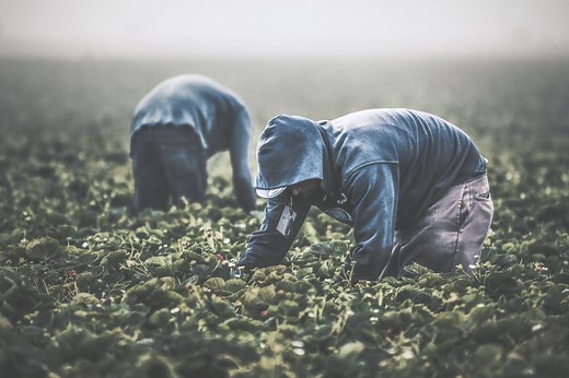 The Meaning of "You Reap What You Sow" in the Bible - FaithGiant
