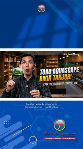 Definisi surga buat pecinta ikan hias & aquascape! 🌊✨ Kali ini Om Bing ngajak kita 'virtual tour' ke Aqua Forest, Tokyo Sky Tree. Bukan sekadar toko ikan, tapi penataan display-nya bener-bener level pro! Mulai dari koleksi ikan yang diplastik rapi sampai terrarium mini yang super detail. 🐼🌿 Apa yang paling bikin takjub? Kebersihan tokonya juara! 🏆 Tonton keseruannya di video terbaru channel YouTube: Hobi Om Bing. Klik link di bio untuk nonton versi lengkapnya ya! 🎬👇 https://youtu.be/pybutS