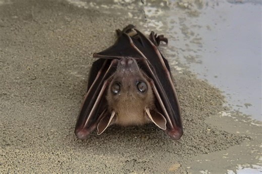 Doctor’s Diary: Have We Overlooked Common Sense?