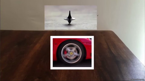 Structure of mature spermatozoan