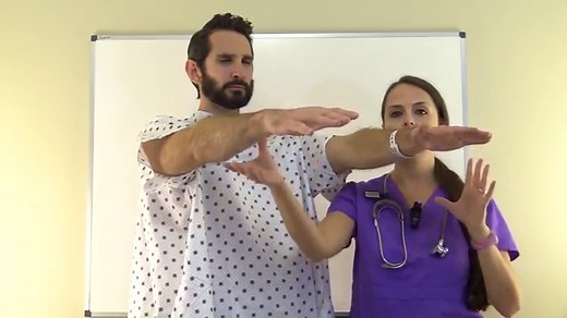 Upper and Lower Extremity Assessment