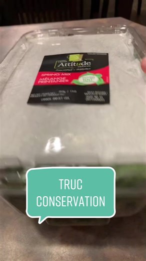 Trucs pour conserver la salade assaisonnée