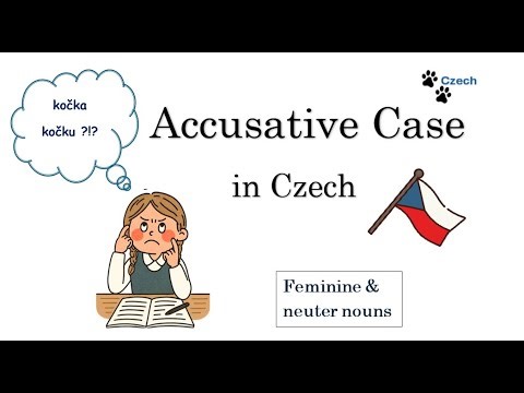 Accusative case in Czech - feminine and neuter nouns