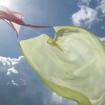 A duet of silk flying in spring's strong wind #billowing #blowing #breeze