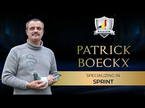 PATRICK BOECKX BELGIUM PIGEON LOFT TOUR VIDEO (2023)