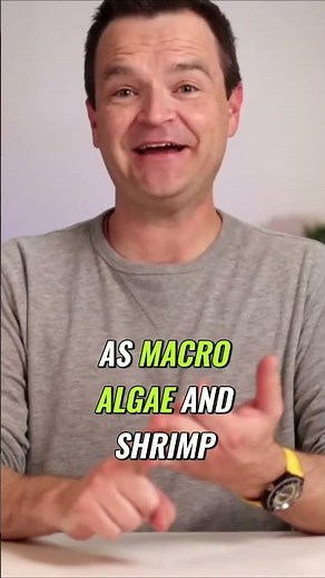 Setting Up Your First Saltwater Tank Step by Step Guide #helloreef #bulkreefsupply #aquarium