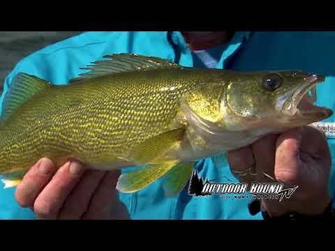 Mid Summer Walleye Techniques from Devils Lake, North Dakota