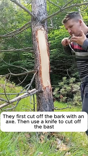 3.9K views | #gardening #gardentools #gardeningtools #tool #tools #gardeningmakemehappy #handtools #cooltools #satisfying | Pro Gardening | Facebook