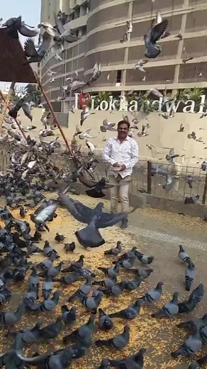 shakeel (@shakeeltiktok)’s videos with original sound - shakeel