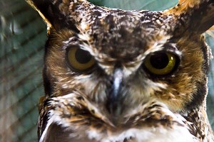 ABOUT US | treehouse