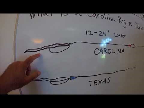 What is a Carolina Rig vs Texas Rig in Bass Fishing Plus Free Bass Fishing Course