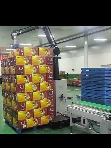 Fully Automated Carton Erecting, Sealing, and Palletizing Solution #robot
