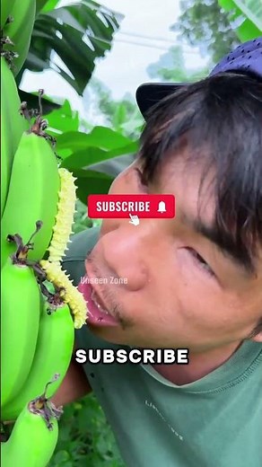 Inchworm Mystery 🤯👀 | #new #facts #shorts