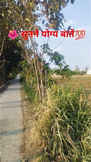 🙏ध्यान से सुने #viralखाँसी और दासी मुसीबत का कारण #viral #कनेरी