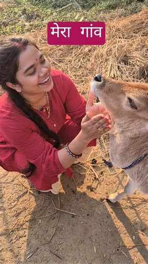 Cute Baby Cow 😍 #village #cattle #farming #farmers #bihar #travel #munger #biharsi #daroga #ssc #cpo