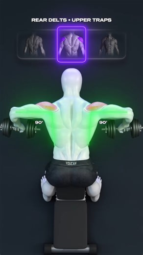 Fitness life style.......❤️ on Instagram: "🔥Chest Supported Rows: Build a Complete Back.....💯 . . . . . . . . . . #💪😈🤘ᴛʀɪɴᴅɪɴɢ🤘😈💪👀 #🏋️exercise #virlpost😉❤️❤️ #virlreels❤️❤️❤️❤️❤️😍😍😍😍❤️❤️❤️❤️❤️❤️❤️❤️❤️ #bestbackworkout Best back workout at home No gym no problem"