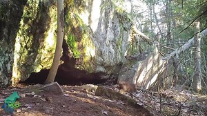 160K views · 2.3K reactions | This is sure to brighten up pretty much anyone's day! These are some of the first howls from a pup of the Wiyapka Lake Pack. The footage was taken on May 7 of this year when the pups were likely only ~1 month old. | Voyageurs Wolf Project | Facebook