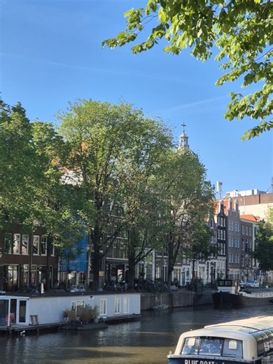 Discover Amsterdam in Spring: A Floral Adventure