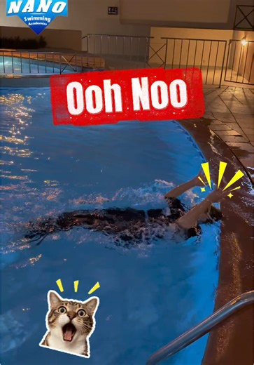 Join Nano Swimming Academies for All Ages in Bahrain