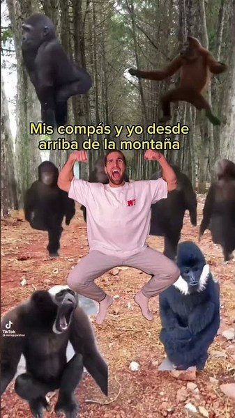 Alguien Confirma?​ 😎