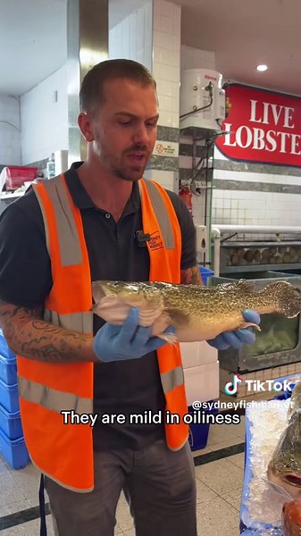 Discover the Murray Cod: Australia's Premium Aquaculture Fish