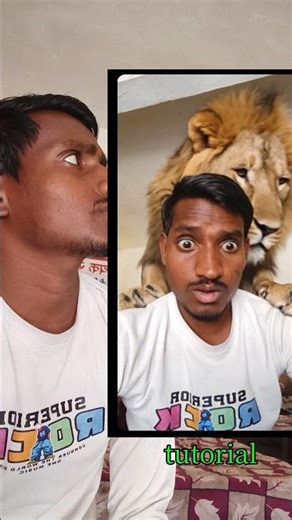 lion filter tutorial#tutorialfilter