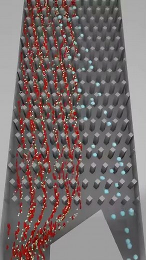 Deterministic Lateral Displacement