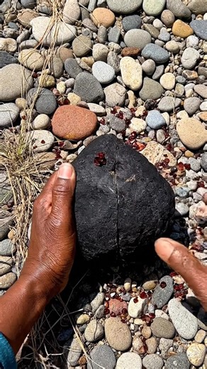 Gold, a dense, soft, and naturally bright metal, has historically served as the ultimate store of value due to its rarity and non-corrosive nature. The largest known gold discovery in the United States, the Gold Rush, significantly shaped California's economy, with peak production once valued at nearly $81 million annually (adjusted for historical context) coming from areas like Sutter's Mill, near Sacramento, California. Today, the metal is vital in electronics and dentistry, but its primary fu