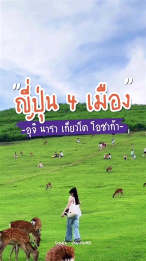 #เที่ยวญี่ปุ่น ⛩️🏯 อุจิ นารา เกียวโต โอซาก้า ใน 6 วัน 4 คืน มีอิสระเที่ยวเอง 1 วันเต็ม 💵 เพียง 29,919 เดินทางช่วงพฤษภาคมนี้แล้ว !!! 📲 จองทัวร์ @yaktour ได้เลย #ยักษ์ทัวร์ #ทัวร์ญี่ปุ่น #ญี่ปุ่นพฤษภาคม #เที่ยวกับทัวร์