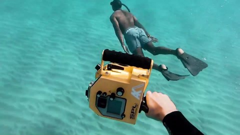 Adorable & Funny Crab Moments Compilation