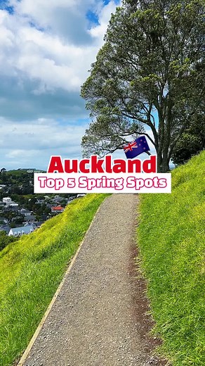 Best Spring Spots in Auckland NZ - Must-Visit Nature Locations