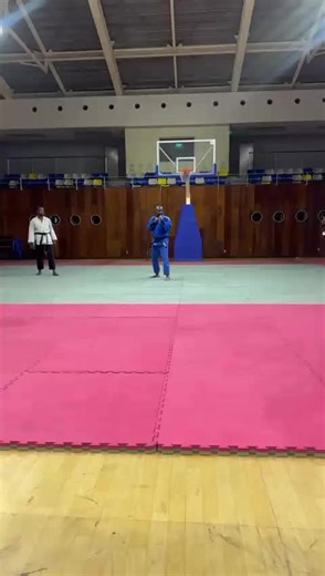 Ben M. Sato Tanaka (@satotanaka33)’s videos with son original - motivation number1