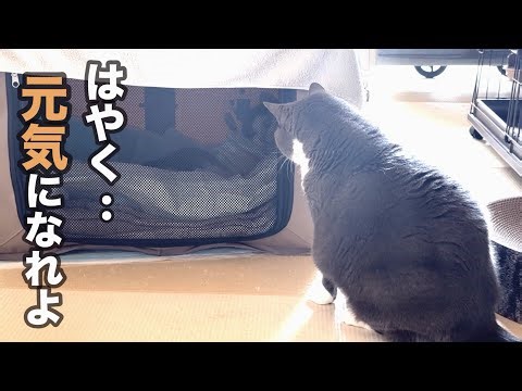 The boss looks worriedly at Ulun, whose leg has been amputated...