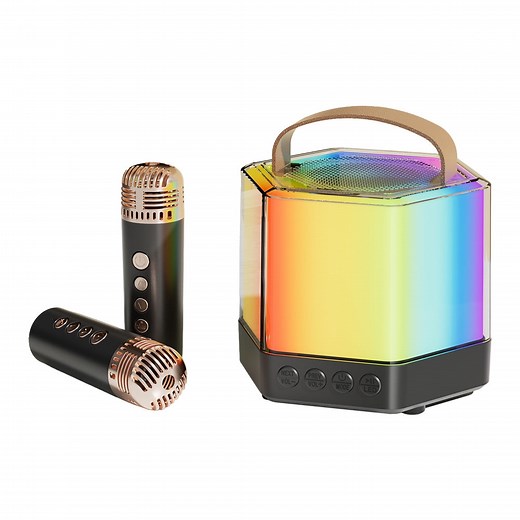 Karaoke Machine Mini Wireless Microphone and Speaker Set with 2 Microphone RGB Color Light Handheld - Walmart.ca