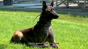 1.6K views · 15 reactions | Welcome to Inside Sandy Springs! Here's what’s new in the City. •We update changes on the Mt Vernon Hwy Bridge over I 285. •SSFD improves aid practices for citizens. •Meet our newest SSPD K9. This and more coming right up! | Sandy Springs, Georgia: City News | Facebook