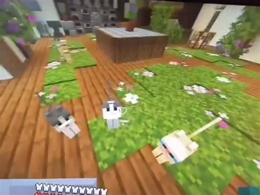 男女生之间天壤之别的风格