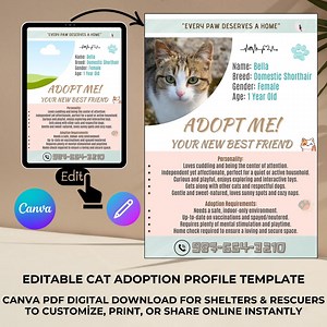 Editable Cat Adoption Profile Template: Canva Design (PDF Digital Download) - Etsy
