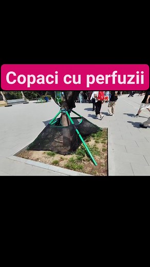 Mihai Turcea on Reels