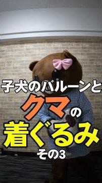 子犬のバルーンを持つクマの着ぐるみ、その3 #shorts #kigurumi #着ぐるみ #熊 #クマ #ゆるキャラ #bear #コスプレ #自撮り #selfie