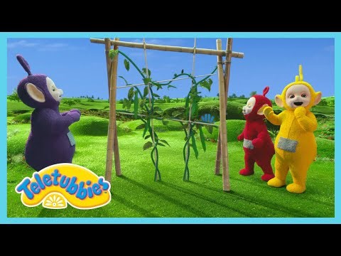 Teletubbies - Fun with Friends | Cartoons for Kids | Wildbrain Wonder