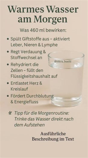 ISKRA BÜHL Ernährungsberaterin on Instagram: "💧 Warum 460 ml warmes, gefiltertes Wasser am Morgen so wirkungsvoll sind 🌿 Viele trinken morgens zu wenig oder zu kalt – und verpassen damit einen der wichtigsten Detox-Impulse des Tages. Dein Körper braucht nach der Nacht Flüssigkeit, Energie und Reinigung. Genau hier entfalten 460 ml warmes, gefiltertes Wasser seine volle Kraft: ⸻ ✨ Warum 460 ml? Diese Menge (etwa zwei große Gläser) reicht aus, um: • alle Organe zu aktivieren, ohne sie zu überlas