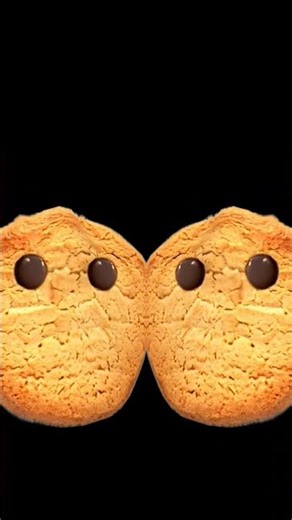 two cookie!!!!🍪🍪🍪🍪🍪🍪